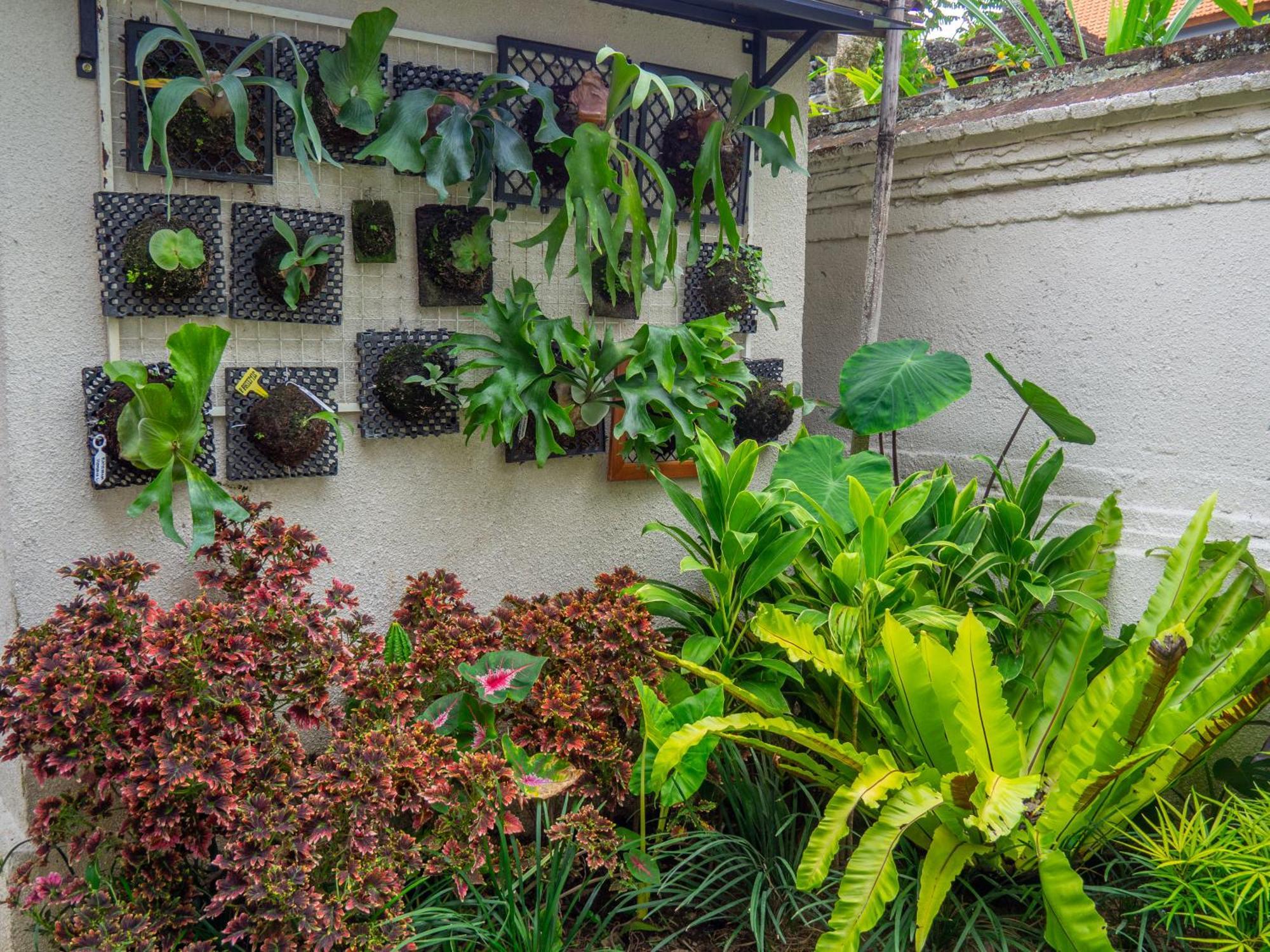 Arumasta Ubud Exteriör bild